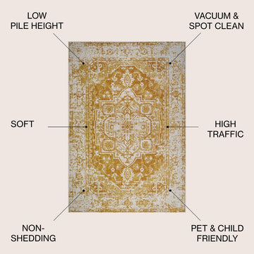 Audrey Ornate Medallion Bohemian Area Rug